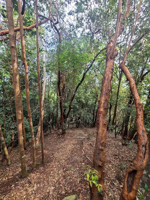 Bukit Changkat Asa Picture 5