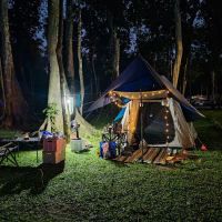 Forest 8 Senses ico