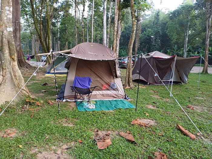 Forest 8 Senses Picture 2