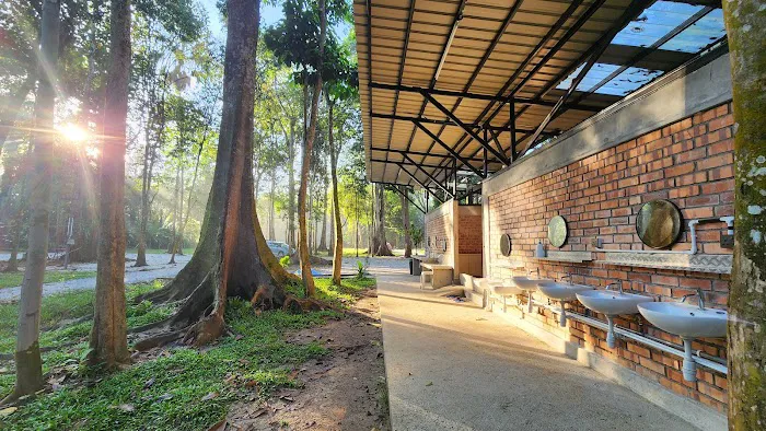 Forest 8 Senses Picture 5