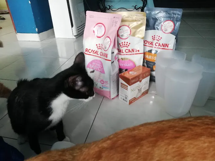 Petico.my Pet Shop Sunway Mentari Picture 4