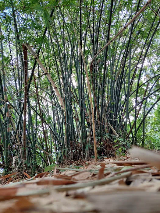Kajang Hill Picture 8