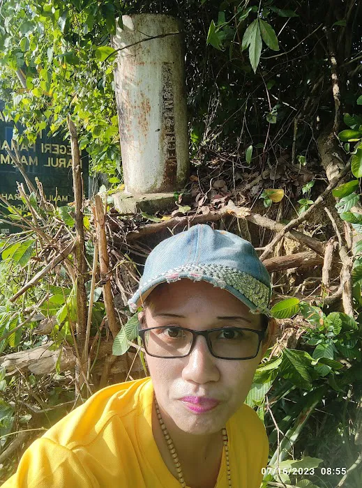 Batu Sempadan Negeri (Negeri Sembilan dan Pahang). Picture 10