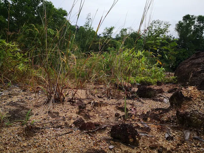 Bukit Kajang Perdana runsite Picture 1
