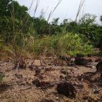Bukit Kajang Perdana runsite