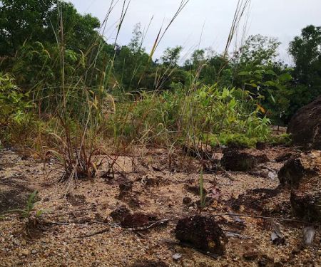 Bukit Kajang Perdana runsite