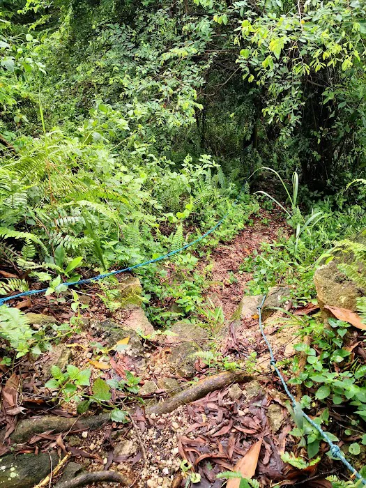Bukit Kajang Perdana runsite Picture 3