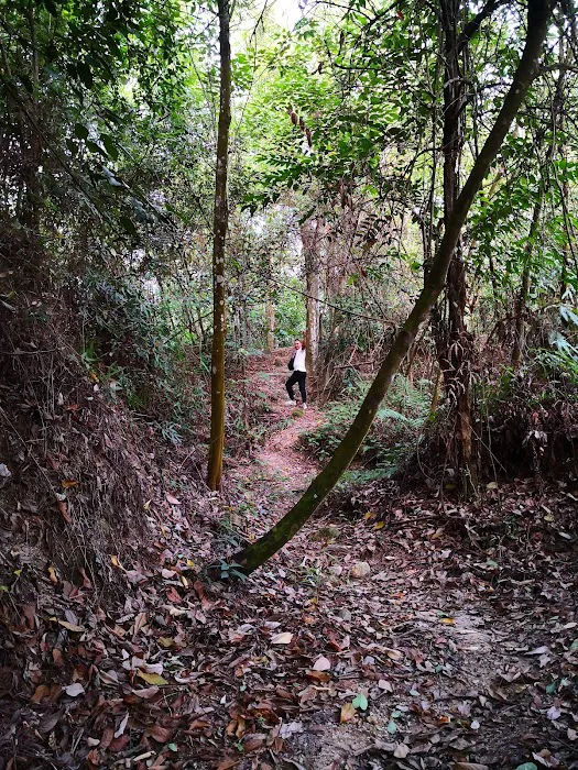 Bukit Kajang Perdana runsite Picture 4