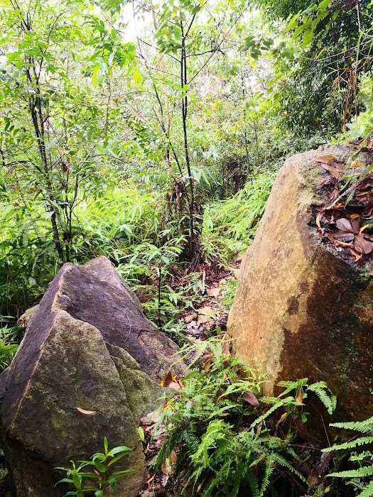 Bukit Kajang Perdana runsite Picture 6