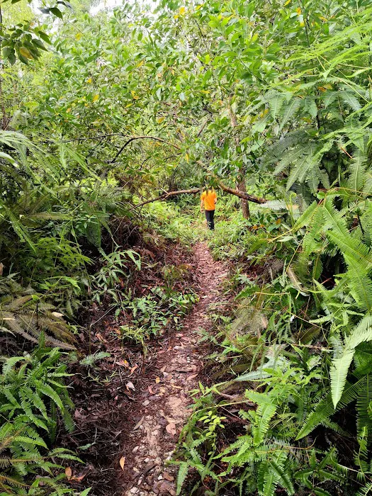 Bukit Kajang Perdana runsite Picture 10