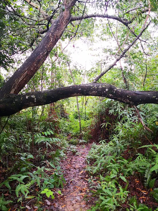 Bukit Kajang Perdana runsite Picture 9