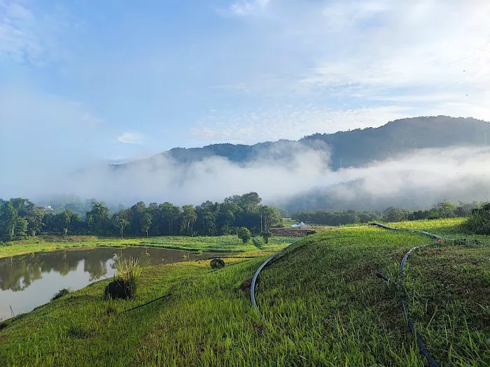 KOBUNITI Camperpark @ Kalumpang Picture 3