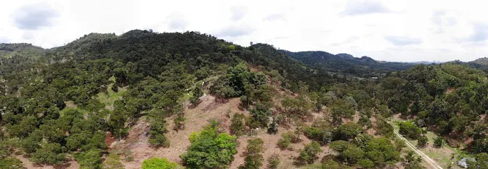 Orchard 88 Picture 7