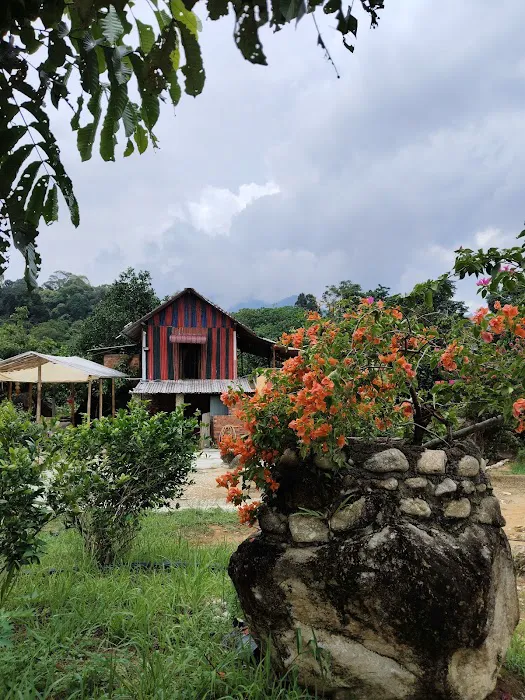Bernam River Orchard Picture 10