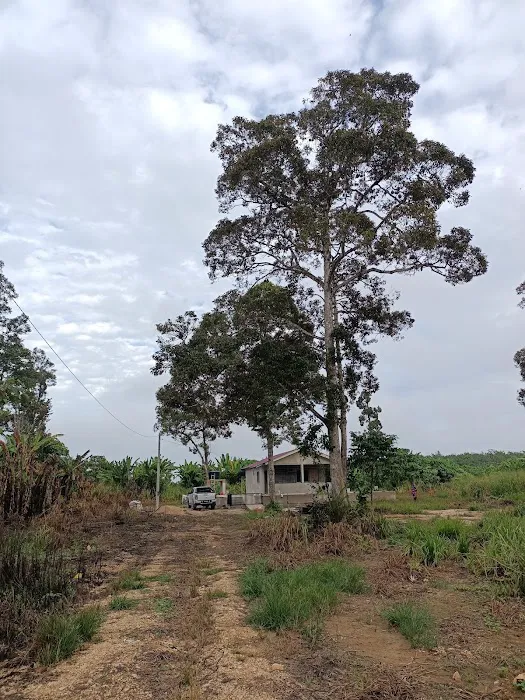 RUMAH KEBUN ZAKRE & MAZILA Picture 2