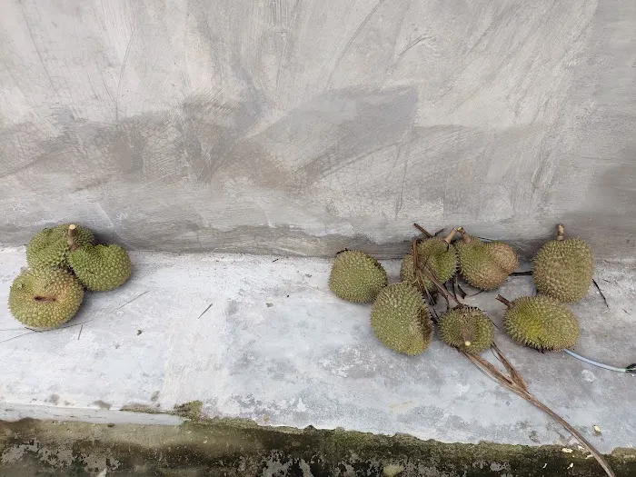 RUMAH KEBUN ZAKRE & MAZILA Picture 5