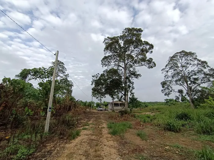 RUMAH KEBUN ZAKRE & MAZILA Picture 7