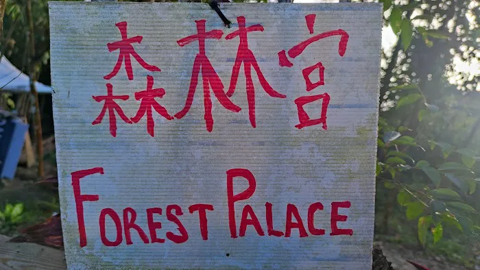 Lower view point(森林宫) Picture 9