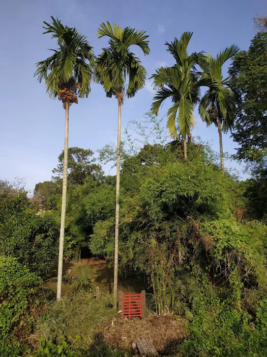 Denai Sungai Langat Picture 7
