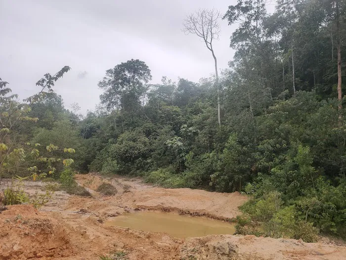 Hill 1 River Picture 4