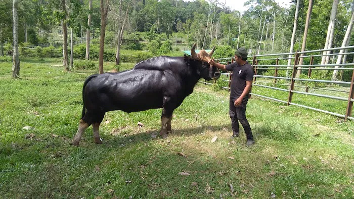 Jenderak Selatan Wildlife Conservation Centre Picture 1