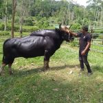Jenderak Selatan Wildlife Conservation Centre