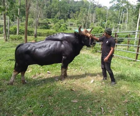 Jenderak Selatan Wildlife Conservation Centre
