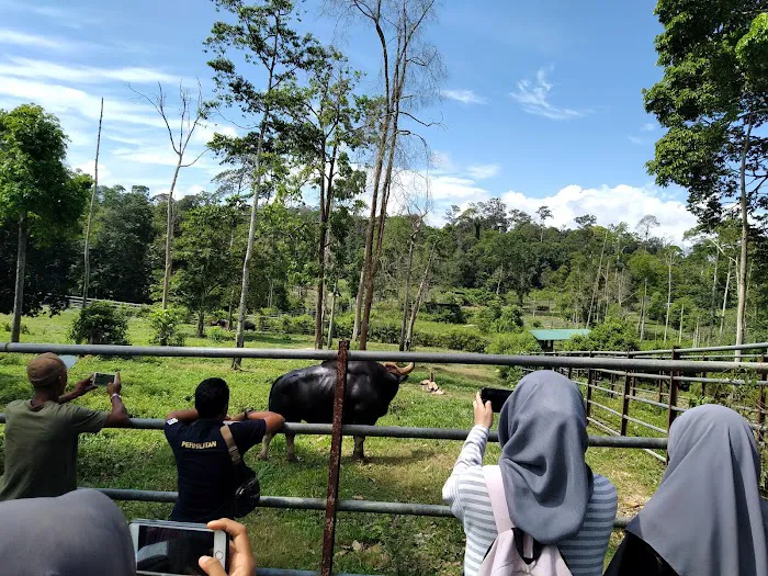 Jenderak Selatan Wildlife Conservation Centre Picture 3