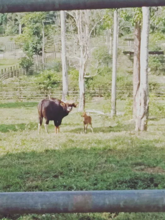 Jenderak Selatan Wildlife Conservation Centre Picture 6