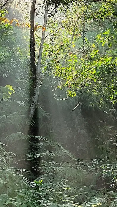 Enggan waterfall Picture 6