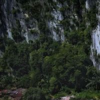Fox cave ico