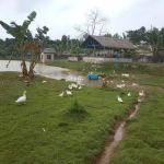 HRR Farmville