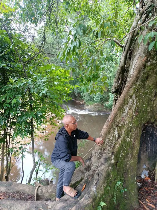 Rekreasi Rimba Wangi Sungai Ketil Picture 1