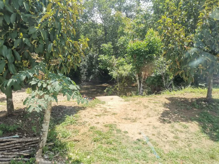 Rekreasi Rimba Wangi Sungai Ketil Picture 5