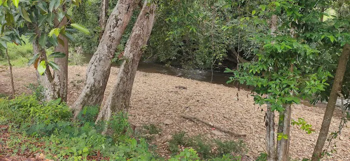 Rekreasi Rimba Wangi Sungai Ketil Picture 8