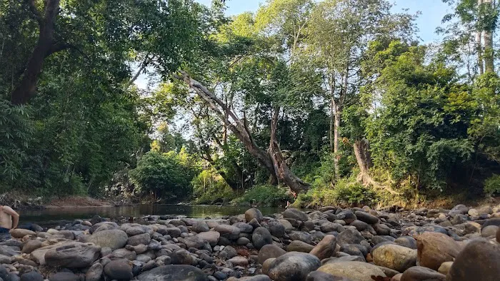 Rekreasi Rimba Wangi Sungai Ketil Picture 4