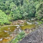 Tempat Hentian Bus Pekerja Biru