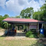 Kebun komuniti