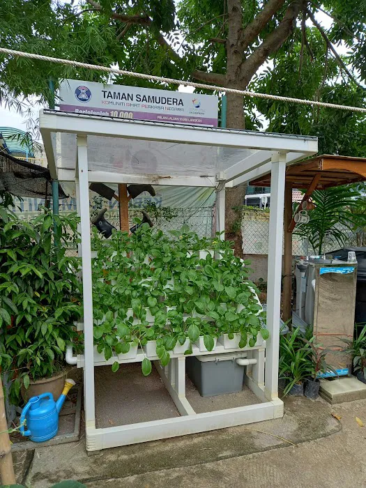 Kebun komuniti Picture 5