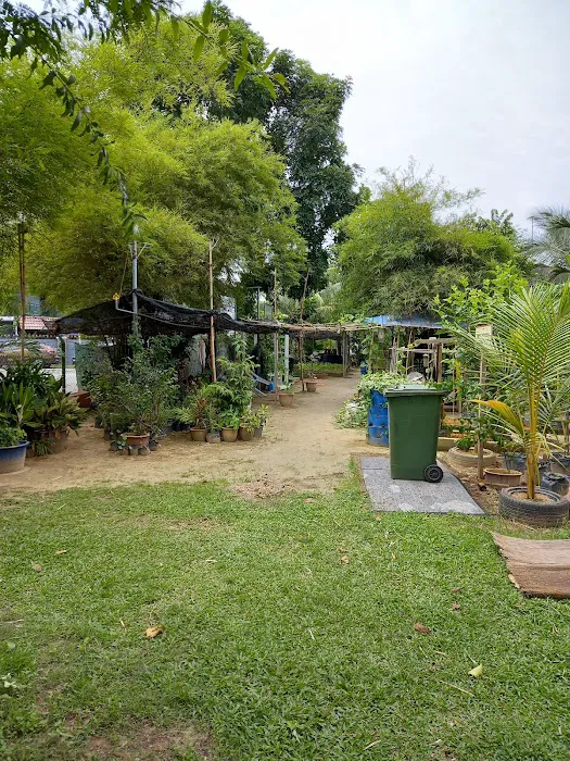 Kebun komuniti Picture 9