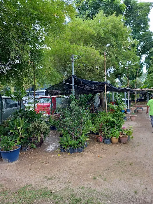 Kebun Komuniti Taman Samudera A Fasa 1 Picture 3