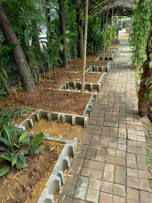 Kebun Komuniti Taman Samudera A Fasa 1 Picture 9
