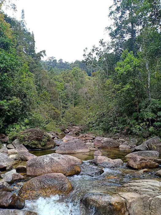 Lata Naning Campsite Picture 5