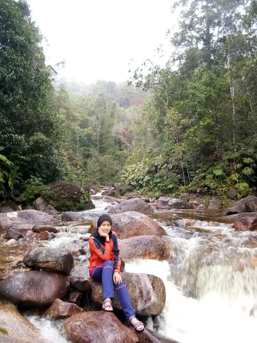 Lata Naning Campsite Picture 1