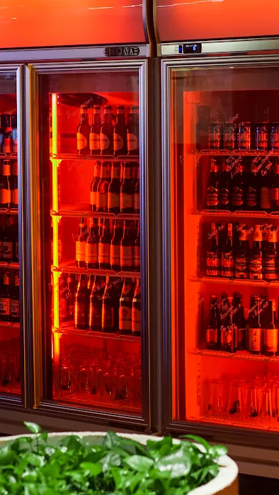 The REX Bar Picture 4