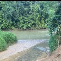 Bamboo Rafting Challenge Start ico