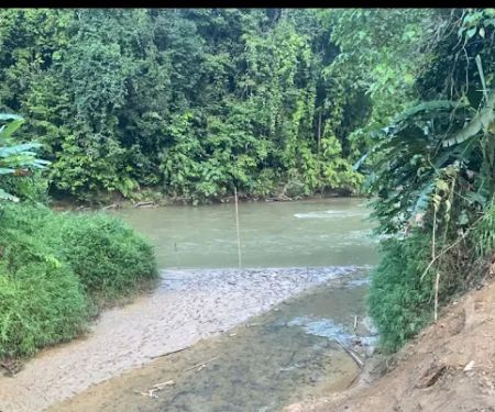 Bamboo Rafting Challenge Start