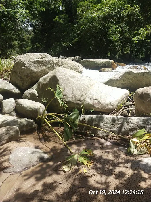 Laman Puaka Picture 2