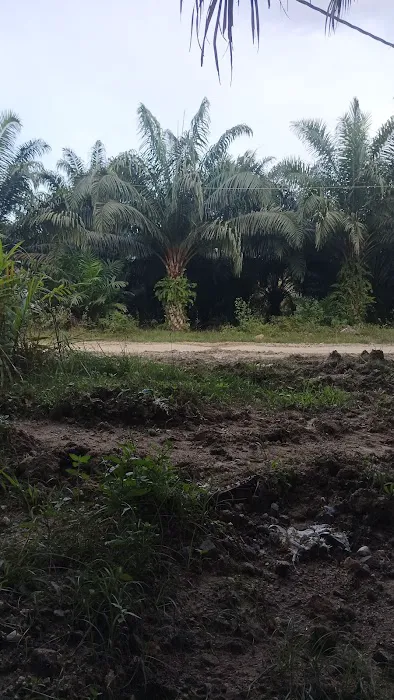 Meranto Junction Picture 1