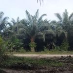 Meranto Junction
